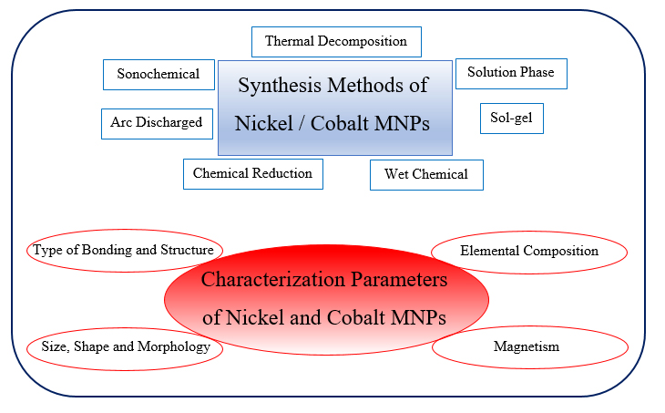 Nickel and Cobalt Magnetic Nanoparticles (MNPs): Synthesis, Characterization, and Applications