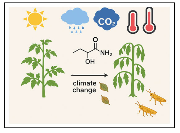 Chemical Perspectives on Climate Change: Impacts on Plant ...
